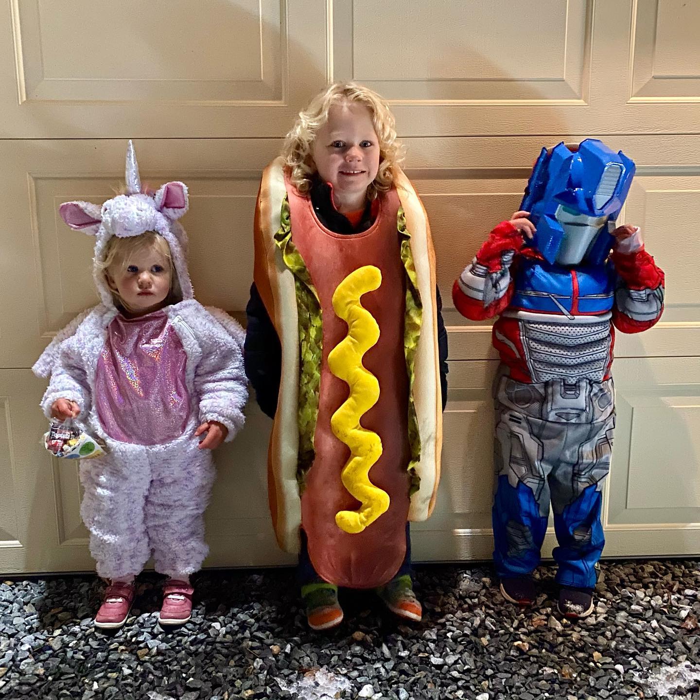 Violet, Desmond, and their sole quarantine buddy, Nolan. We had a safe and lovely Halloween while celebrating Katie’s 40th birthday.