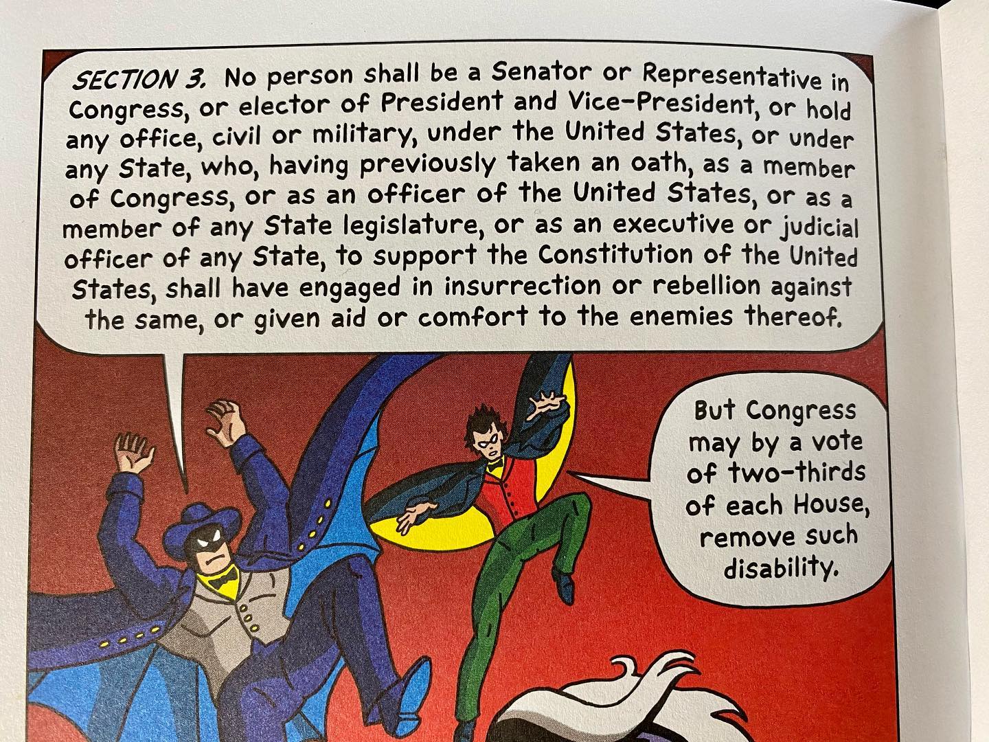 Section 3 of the 14th Amendment disqualifies those who engage in insurrection against the Constitution of the United States from holding office.From Constitution Illustrated by R. Sikoryak.
