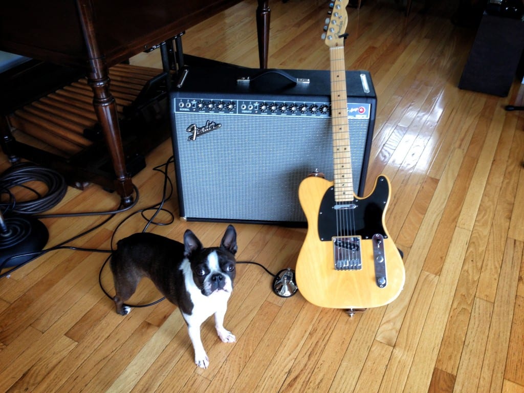 Fender Tele and '65 Twin Reverb