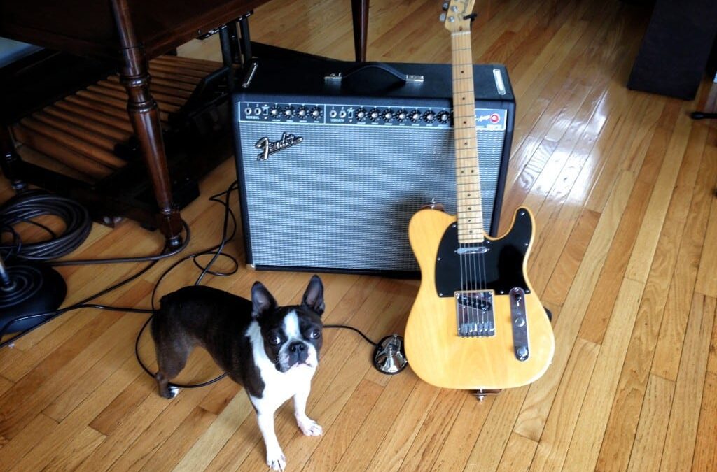 Gear With Soul: Fender Tele and ’65 Twin Reverb
